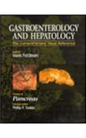 Gastroenterology and Hepatology: The Pancreas: Volume 8 (Comprehensive Visual Reference)