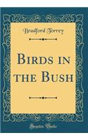 Birds in the Bush (Classic Reprint)