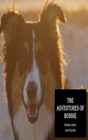 Adventures of Bonnie