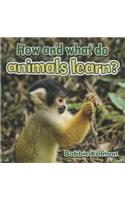 How and What Do Animals Learn?