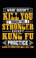 What doesn't kill you makes you stronger except Kung Fu practice Kung Fu practice will kill you