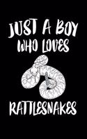 Just A Boy Who Loves Rattlesnakes