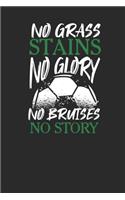 No Grass Stains No Glory