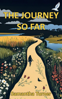 Journey So Far
