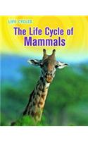 Life Cycle of Mammals