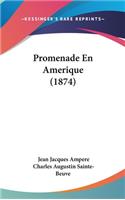 Promenade En Amerique (1874)