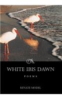 White Ibis Dawn