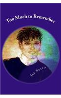 Too Much to Remember: Novel(Too Much...)