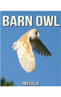 Barn Owl