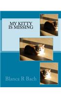 My Kitty Is Missing