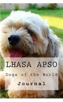 Lhasa Apso