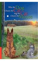 Why the Dog Chases the Cat and the Cat Chases the Mouse