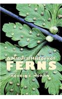 Natural History of Ferns