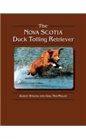 Nova Scotia Duck Tolling Retriever