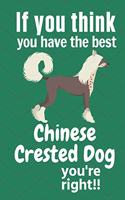 If you think you have the best Chinese Crested Dog you're right!!: For Chinese Crested Dog Fans