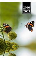 Butterfly Butterflies Insect Week Planner Weekly Organizer Calendar 2020 / 2021 - Two Black Orange: Cute Wildlife Animal Pet Bullet Journal Notebook Diary in 6" x 9" Inch Pocket Size