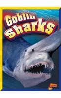 Goblin Sharks