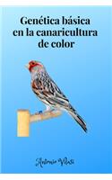 genética básica en la canaricultura de color
