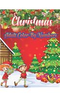 Christmas Adult Color By Numbers