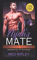Elijah's Mate: (Shifter Nation: Werebears of Big Bend)