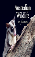 Australian Wildlife in Picture