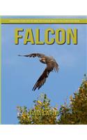 Falcon