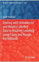 Dealing with Imbalanced and Weakly Labelled Data in Machine Learning Using Fuzzy and Rough Set Methods