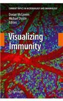 Visualizing Immunity