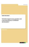 Veränderungsprozesse gestalten mit Unterstützung des CONSIDEO MODELERS(c)