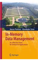 In-Memory Data Management