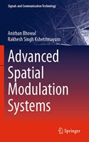 Advanced Spatial Modulation Systems