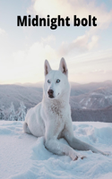 Midnight bolt