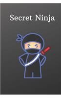 Secret Ninja