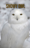 Snowy owl