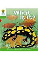 Oxford Reading Tree: Level 2: More Patterned Stories A: What Is It?