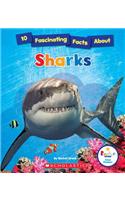 10 Fascinating Facts about Sharks (Rookie Star: Fact Finder) (Library Edition)