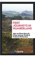 First Journeys in Numberland