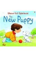 Usborne First Experiences The New Puppy