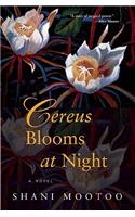 Cereus Blooms at Night