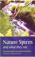 Nature Spirits and What They Say