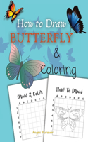 How to Draw Butterfly & Coloring