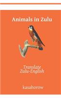 Animals in Zulu: Translate Zulu-English