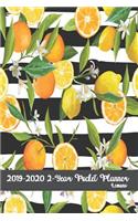 2019-2020 2-Year Pocket Planner Lemons 6x9