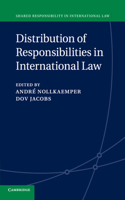 Distribution of Responsibilities in International Law