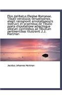 Flos Delibatus Elegiae Romanae. Tibulli Versiculos Venustissimos Elegit Recognovit Annotatiunculis I: (English)