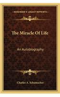 The Miracle Of Life