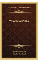 Woodland Paths