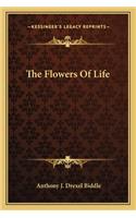 Flowers of Life