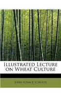 Illustrated Lecture on Wheat Culture