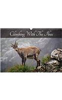 Climbing with the Ibex 2018